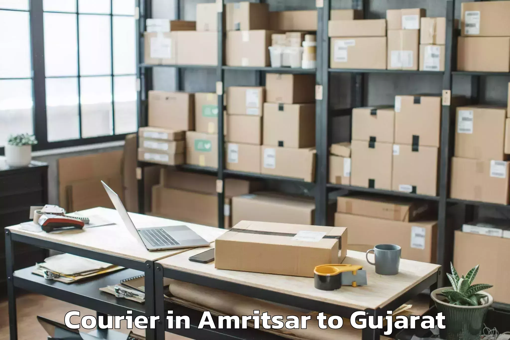 Professional Amritsar to Madhav Kampo Courier